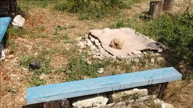 На побережье Азовского моря Лето 2019 смотреть онлайн