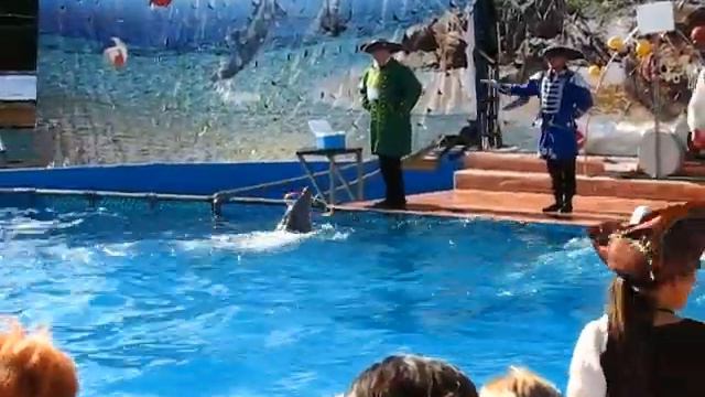 Дельфинарий. 1/2. Яровое. Июль, 2017 смотреть онлайн