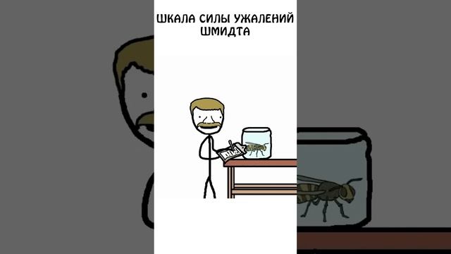 "Шкала силы ужалений Шмидта" #сэмонелла #анимация #авызналиэто #измерения #насекомые смотреть онлайн