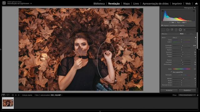 Edição Outono Lightroom e Photoshop - Long Life Photography смотреть онлайн