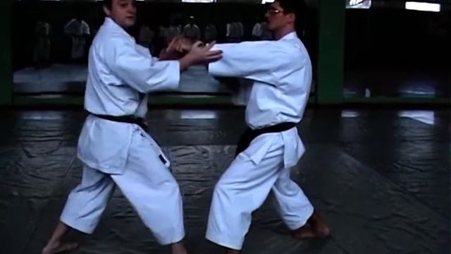 Блоки в традиционном карате-до. Отработка ротации и контрротации тела | How to do karate blocks смотреть онлайн