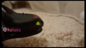 PLAYMOBIL  How to train your dragon.№1ПЛЕЙМОБИЛ КАК ПРИРУЧИТЬ ДРАКОНА