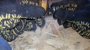 Не заправляет газ в балон.Одна из причин