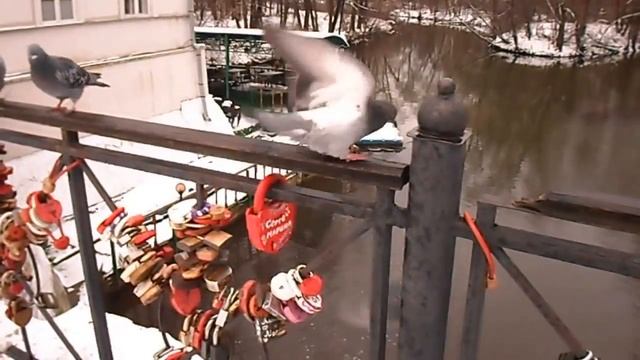 Кузьминки Влахернское смотреть онлайн