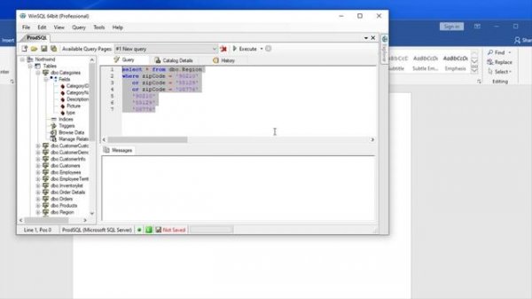 WinSQL Hidden Features