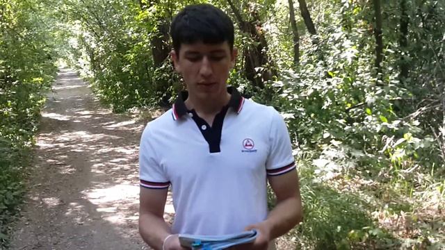 "Великие умы обсуждают идеи.Мелкие умы обсуждают людей" Анна Элеонора Рузвельт смотреть онлайн