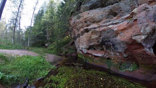 Рождествено и Выра смотреть онлайн
