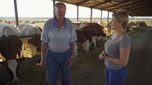 Красно-пёстрая порода коров | Мясомолочное животноводство | Разведение и содержание коров