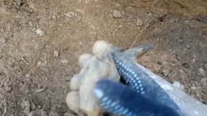 Добыча цитринов. Поиск кристаллов