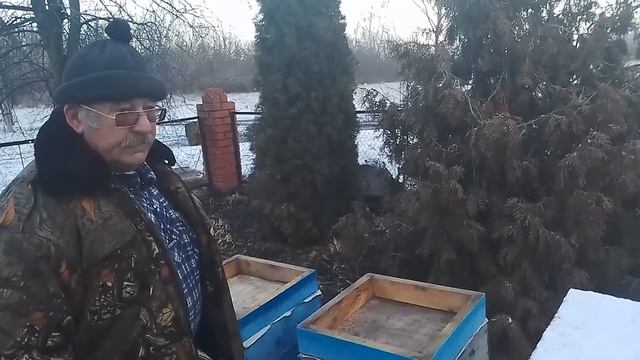 Зимовка пчёл без утепления 4 дня. Итог ответы.
