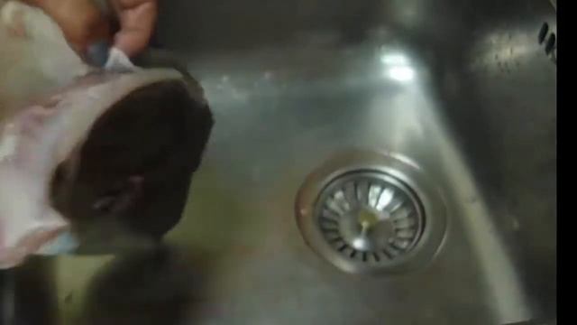 Серый Спинорог Рецепт Pesce Balestra Ricetta