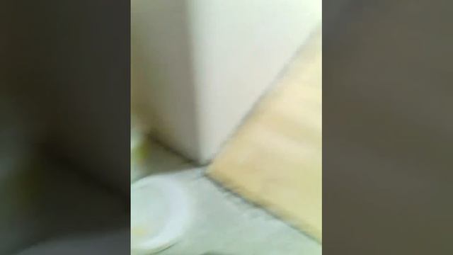Прошпаклеванный Паркет смотреть онлайн