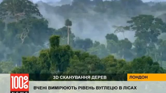 Ученые научились сканировать деревья смотреть онлайн