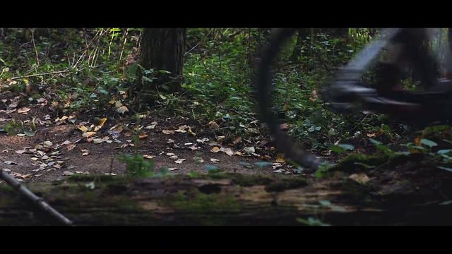 Elk Racing Naro-Fominsk MTB смотреть онлайн