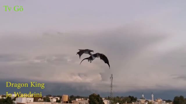 Dragon King Jo Wandrini смотреть онлайн