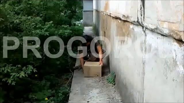 В Перми горожане спасли сову смотреть онлайн