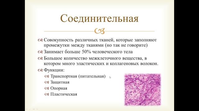 Ткани человека. Основные виды тканей. смотреть онлайн