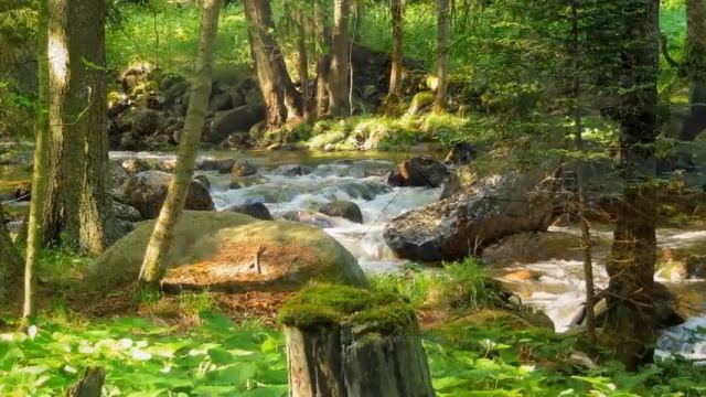 Препятствия на пути Пробужденной Души ∞ 9-Й Арктурианский Совет смотреть онлайн