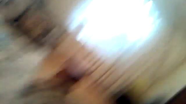 5 ночей с фрезии 1 породе кошки(2) смотреть онлайн