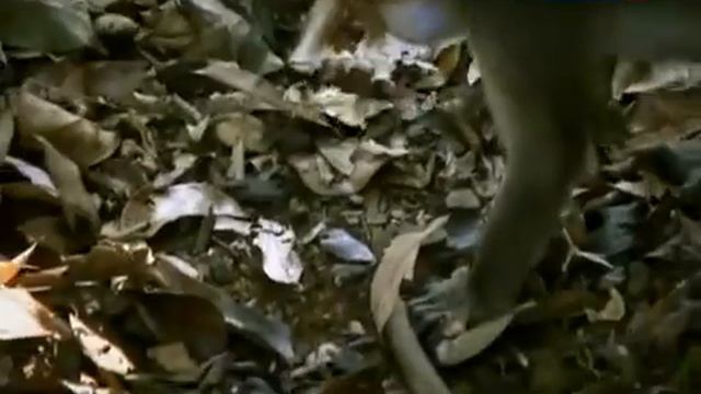 08 Рейтинг Баженова Могло быть хуже смотреть онлайн