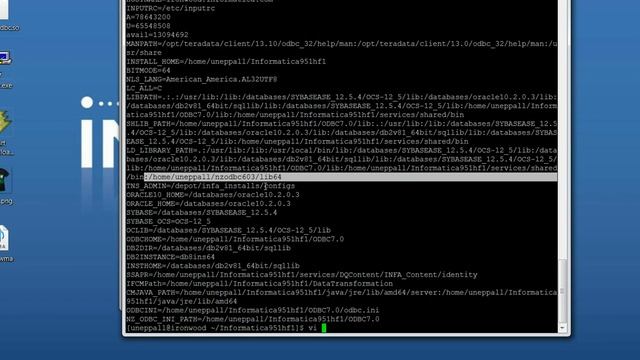 How to profile a Netezza object in PowerExchange for Netezza смотреть онлайн