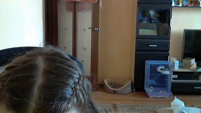 Видео c веб-камеры от 16 марта 2015 г., 07:32 (UTC) смотреть онлайн