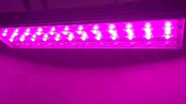 Система светодиодного фитоосвещения с переключением спектров (2) смотреть онлайн