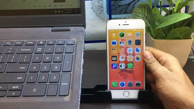 How To Blur a Photo in iPhone 5s,6,6s || how To Get A Blurry Background On iPhone смотреть онлайн