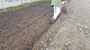 Мотоблок МТЗ с оборотным плугом