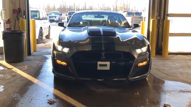 2020 Ford Mustang Shelby GT500 Arrives in Sherwood Ford Dealer Showroom смотреть онлайн