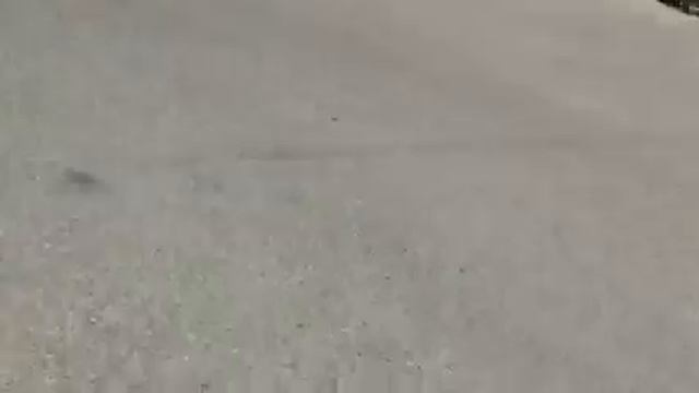 2006 Kia Sedona смотреть онлайн