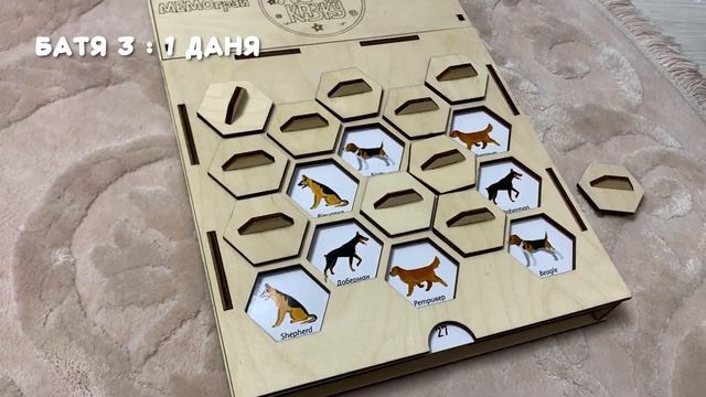 Как развить память за 15 минут? Играем в игру на развитие памяти! Даня Даниил смотреть онлайн