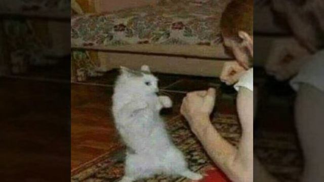 трек/Лида - ЧСВ.