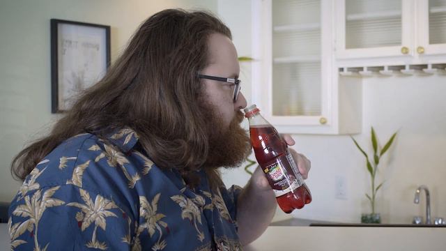 Canada Dry Pomegranate Ginger Ale - Steve's Soft Drink Shack смотреть онлайн