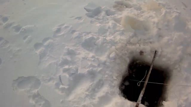 Проверка китайского фитиля .#рыбалка #зимой #карась #на фитиль смотреть онлайн