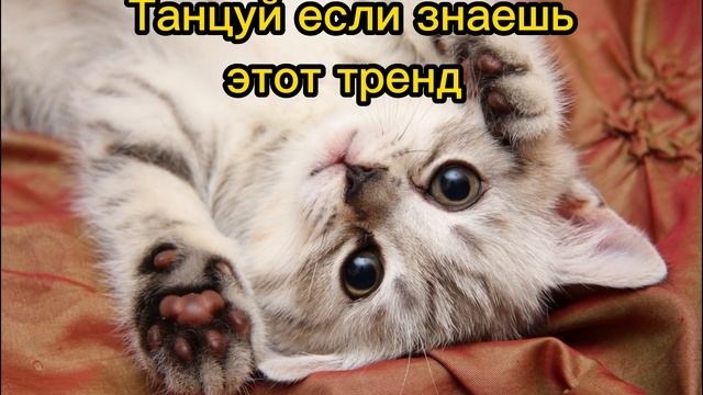 ❤️Танцуй если знаешь этот тренд тикток тренды 2023года❤️ смотреть онлайн