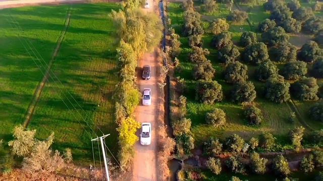 DJI Mavic Mini Wedding Highlights Drone Video | Cinematic Drone Videography смотреть онлайн