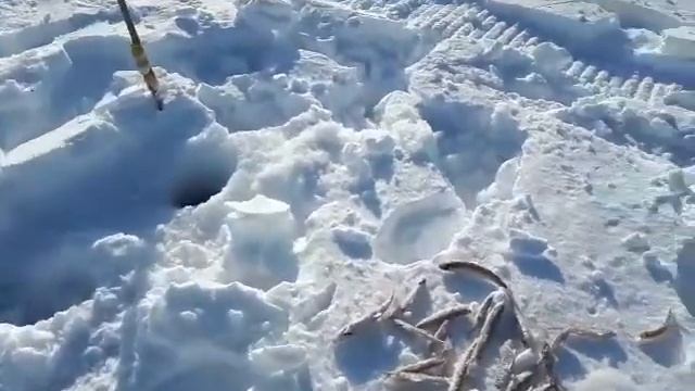18.02.18 г. Г. Магадан бухта Нагаева, ловля корюшки. смотреть онлайн