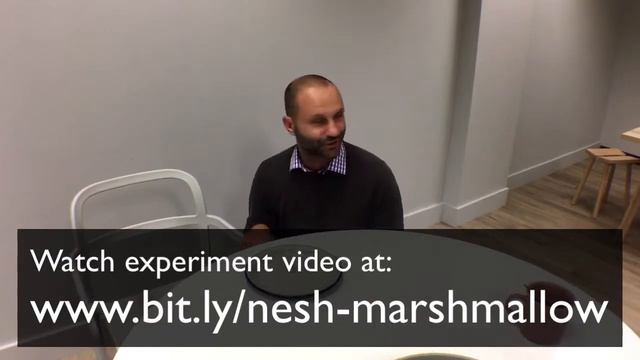 The Marshmallow Experiment смотреть онлайн