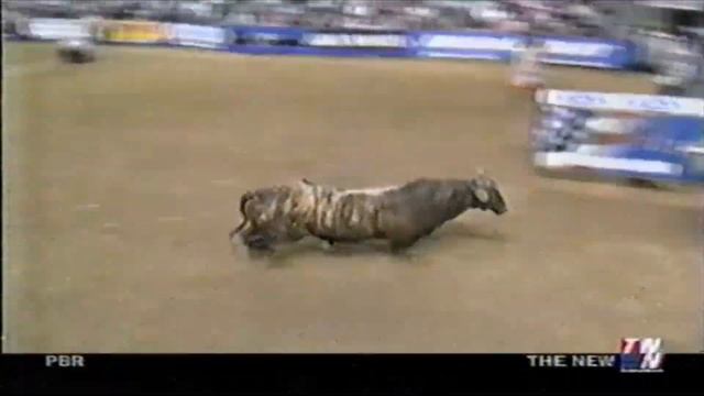 Wild Side Bucks Cody Whitney - 02 PBR Bakersfield