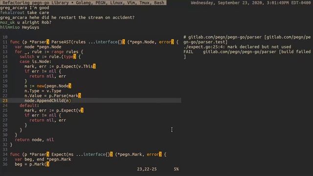 Refactoring pegn-go Library • Golang, PEGN, Linux, Vim, Tmux, Bash смотреть онлайн
