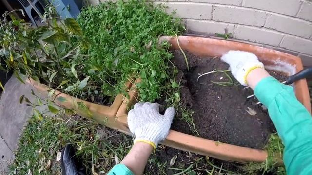 СадовоОгородноМусорноСорняковый, ну вобщем праздник души смотреть онлайн