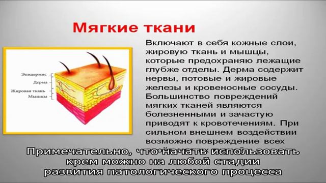 Медицинский крем для суставов Артропант смотреть онлайн