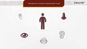 Как мы познаём окружающий мир | Информатика 6 класс #8 | Инфоурок