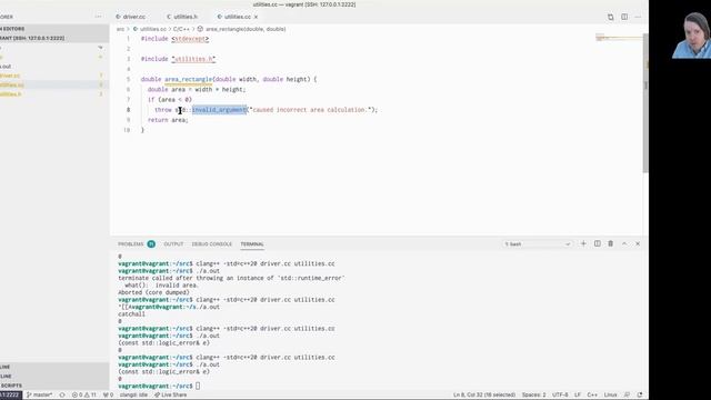 0202: Kinds of exceptions defined for us in stdexcept смотреть онлайн