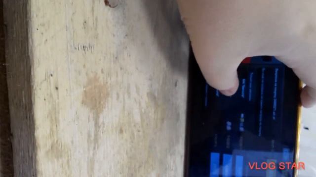 сегодня будет раздача|что надо сделать в описании смотреть онлайн