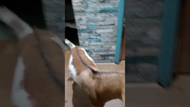 maagang visitor ko. c nana смотреть онлайн