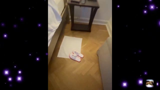 Яна Рудковская с мужем Евгением Плющенко и старшим наследником Саней поселились в гостинице Астори смотреть онлайн