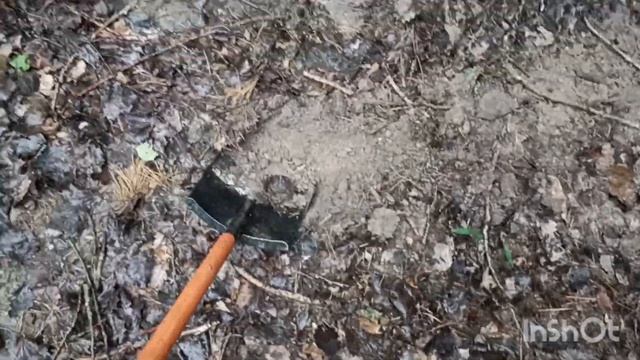 ЛЕСНОЙ КОП С МД810 И КАМРАД С ACE250