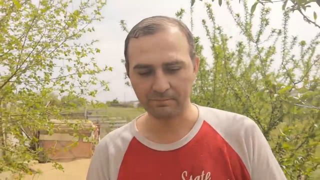 Куда девают неоплодные яйца - Вы будите поражены смотреть онлайн